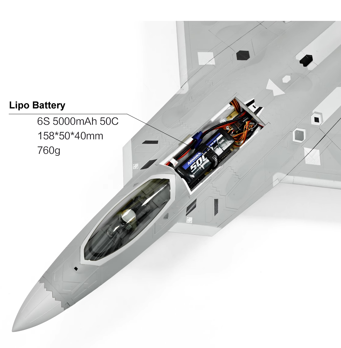 Freewing F-22 Raptor PNP 80mm EDF Jet 