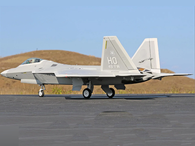 Freewing F-22 Raptor 80mm EDF PNP Jet